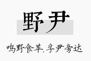 野尹名字的寓意及含义