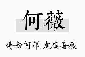 何薇名字的寓意及含义