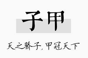 子甲名字的寓意及含义