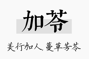 加苓名字的寓意及含义