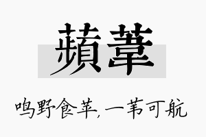 苹苇名字的寓意及含义