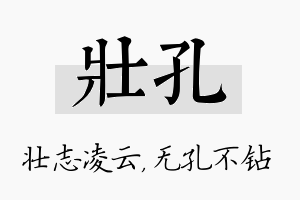 壮孔名字的寓意及含义