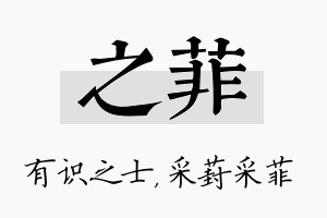 之菲名字的寓意及含义