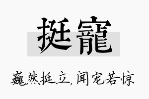 挺宠名字的寓意及含义