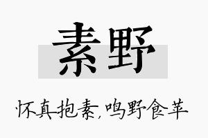 素野名字的寓意及含义