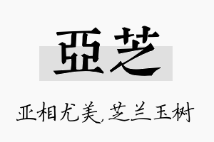 亚芝名字的寓意及含义