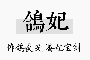 鸽妃名字的寓意及含义