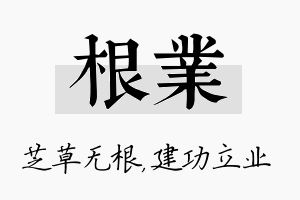 根业名字的寓意及含义