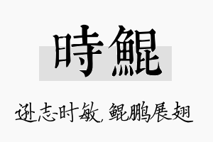 时鲲名字的寓意及含义