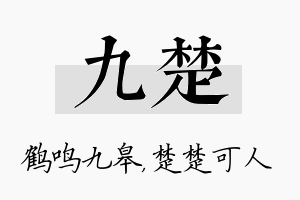 九楚名字的寓意及含义