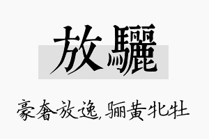 放骊名字的寓意及含义