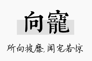 向宠名字的寓意及含义