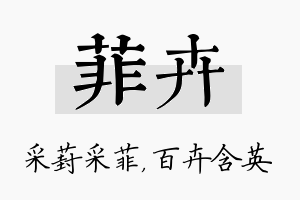 菲卉名字的寓意及含义