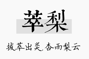 萃梨名字的寓意及含义