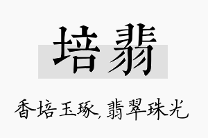 培翡名字的寓意及含义