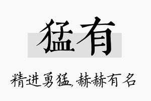 猛有名字的寓意及含义