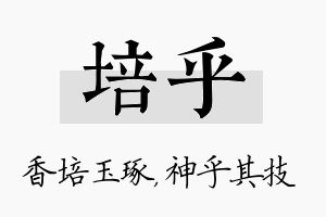 培乎名字的寓意及含义