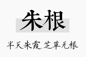 朱根名字的寓意及含义