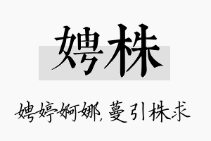 娉株名字的寓意及含义