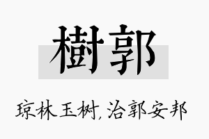 树郭名字的寓意及含义