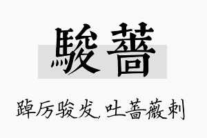 骏蔷名字的寓意及含义