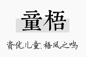 童梧名字的寓意及含义