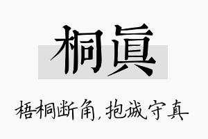 桐真名字的寓意及含义