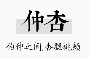 仲杏名字的寓意及含义