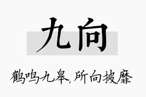 九向名字的寓意及含义