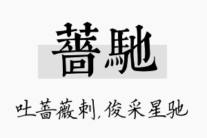 蔷驰名字的寓意及含义