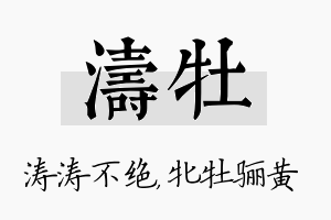 涛牡名字的寓意及含义