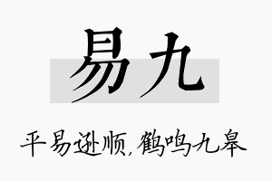 易九名字的寓意及含义