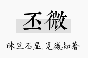 丕微名字的寓意及含义