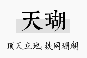 天瑚名字的寓意及含义