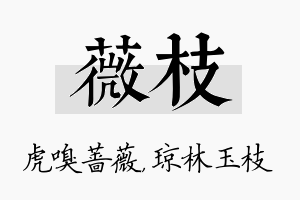 薇枝名字的寓意及含义