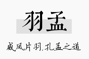 羽孟名字的寓意及含义