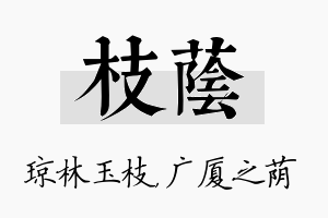 枝荫名字的寓意及含义