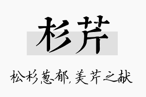 杉芹名字的寓意及含义