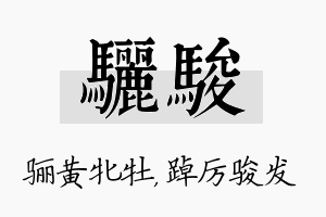 骊骏名字的寓意及含义