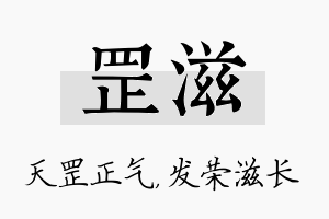 罡滋名字的寓意及含义