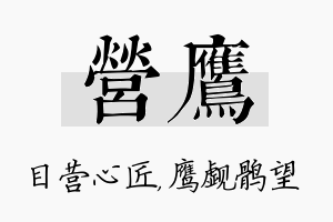 营鹰名字的寓意及含义