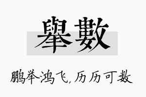 举数名字的寓意及含义