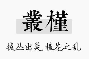 丛槿名字的寓意及含义