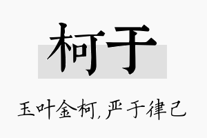 柯于名字的寓意及含义