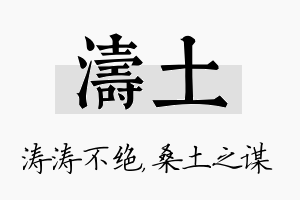 涛土名字的寓意及含义