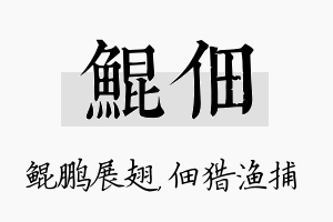 鲲佃名字的寓意及含义