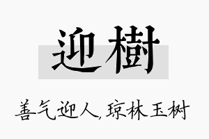 迎树名字的寓意及含义