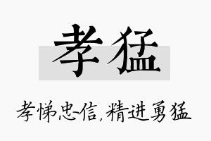 孝猛名字的寓意及含义