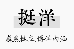 挺洋名字的寓意及含义