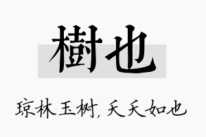 树也名字的寓意及含义